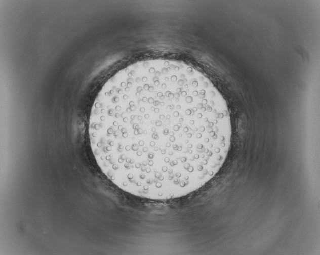 X0000111951302200909071312