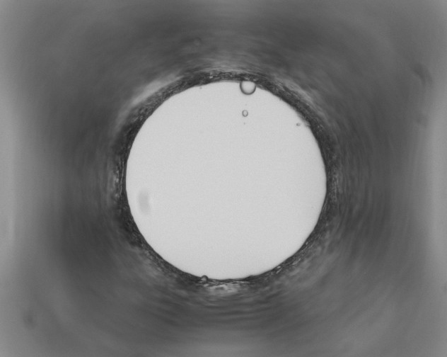 X0000111951303200909071312