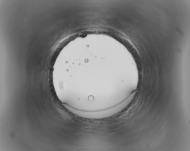 X0000111951304200909071312