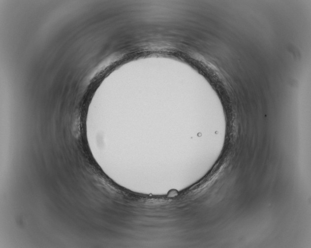 X0000111951306200909071312