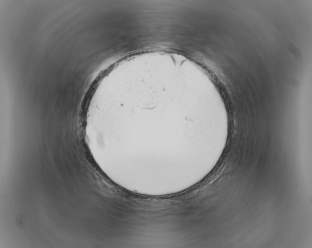 X0000111951308200909071312