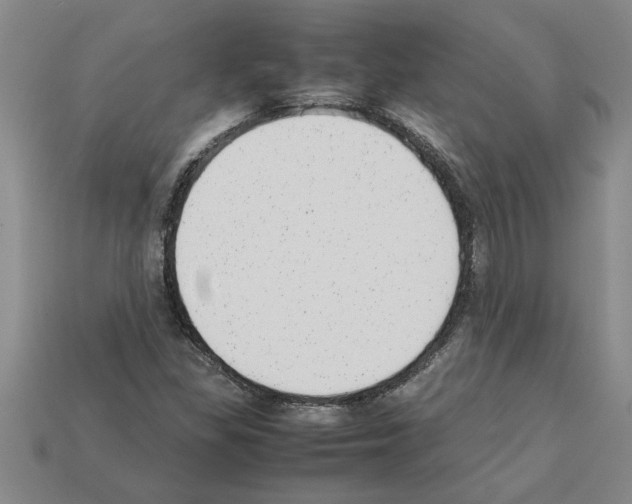 X0000111951309200909071312