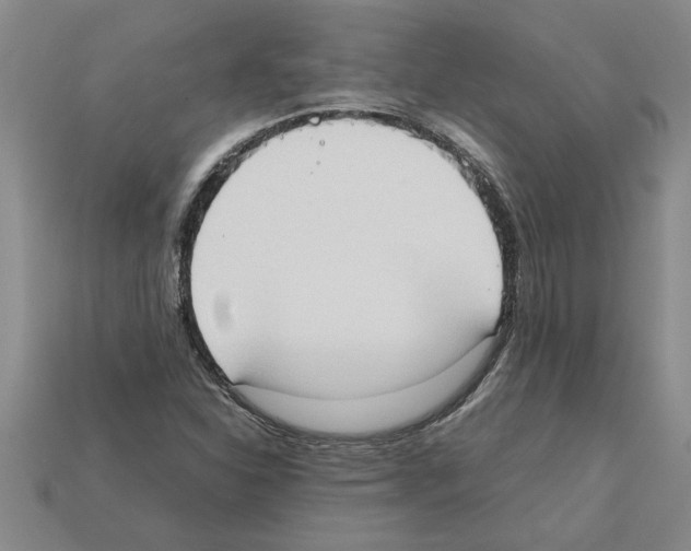 X0000111951310200909071312