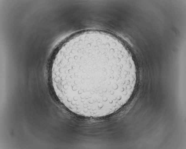 X0000111951311200909071312