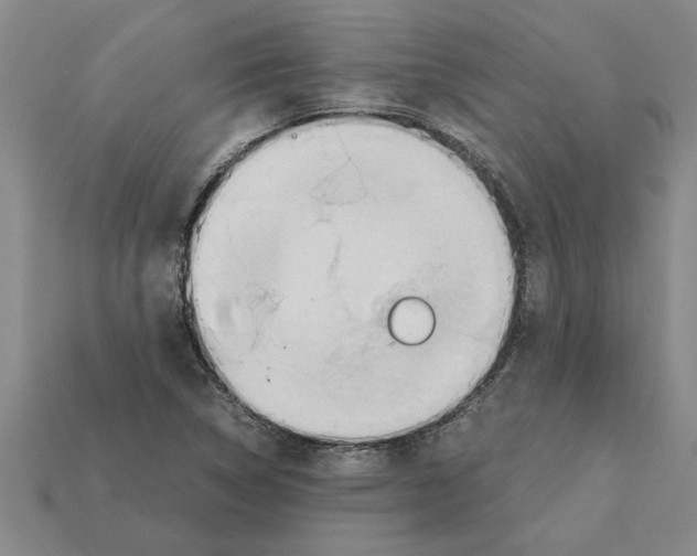 X0000111951314200909071312