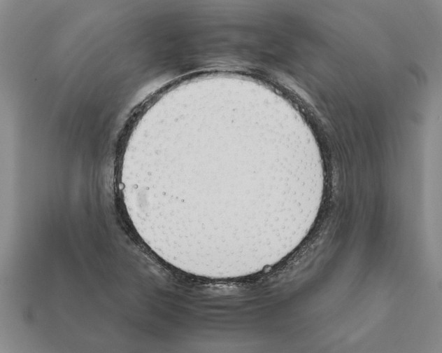 X0000111951315200909071312
