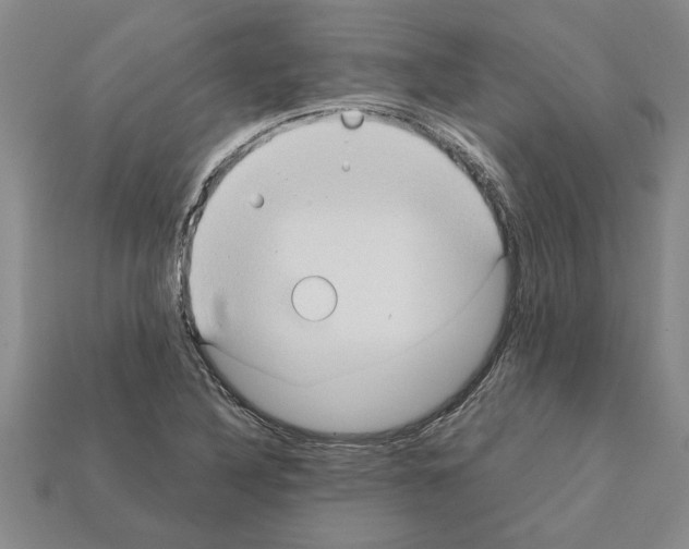 X0000111951316200909071312