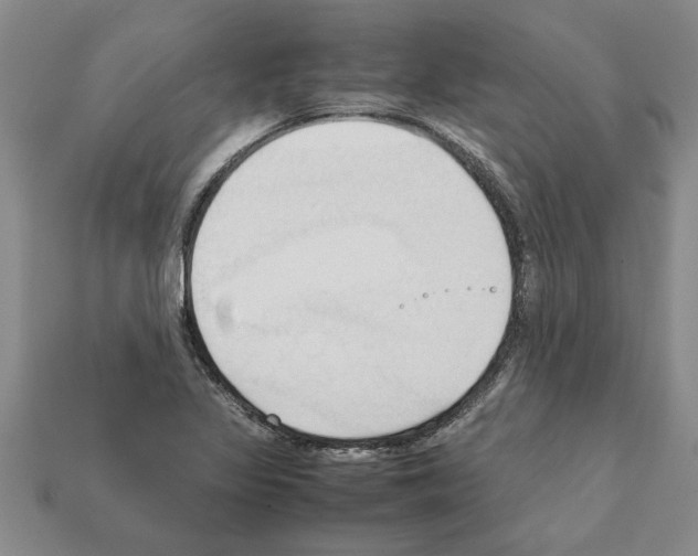 X0000111951317200909071312