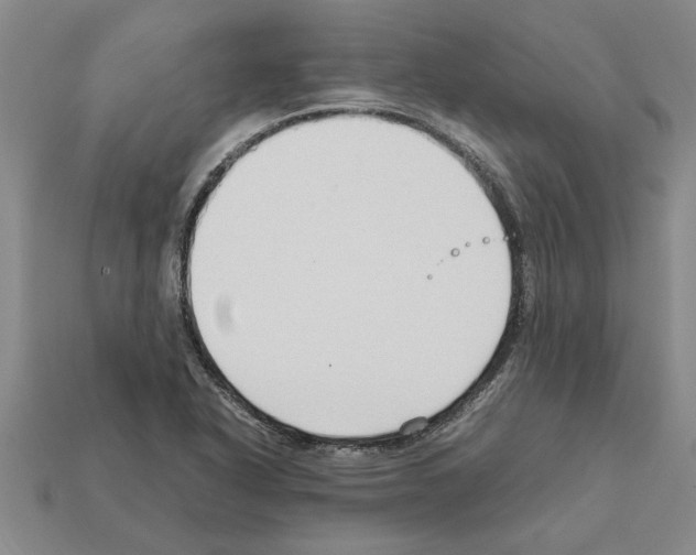 X0000111951318200909071312
