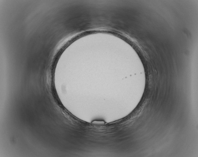 X0000111951319200909071312