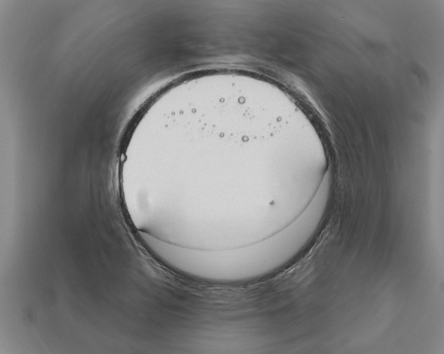 X0000111951320200909071312