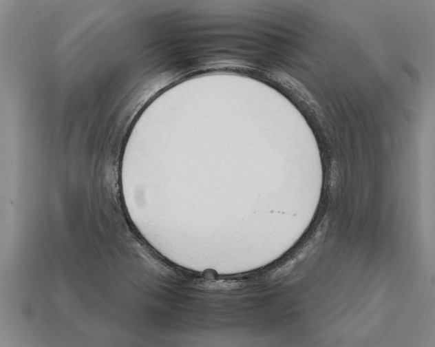 X0000111951321200909071312