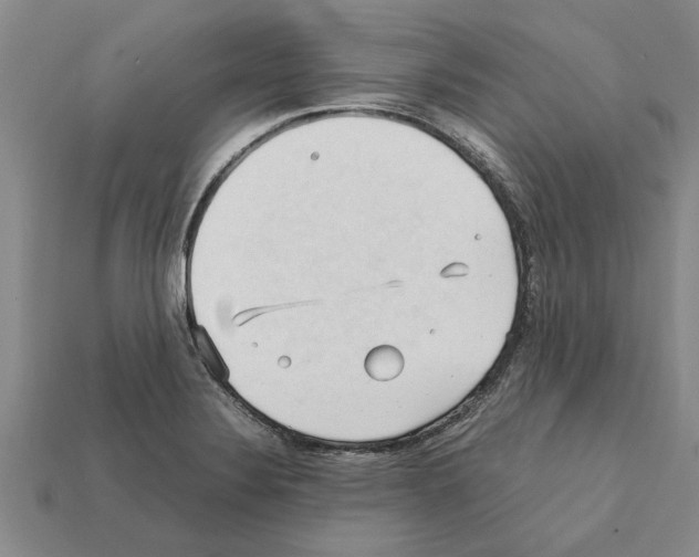 X0000111951324200909071312