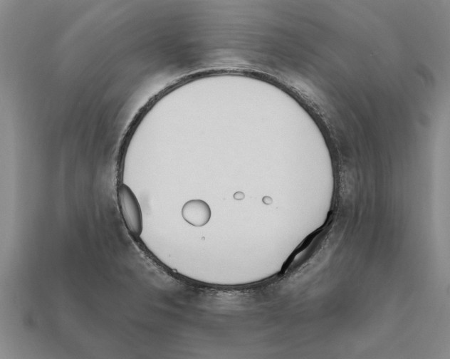 X0000111951326200909071312