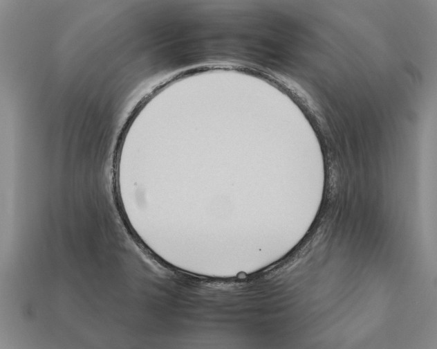 X0000111951327200909071312