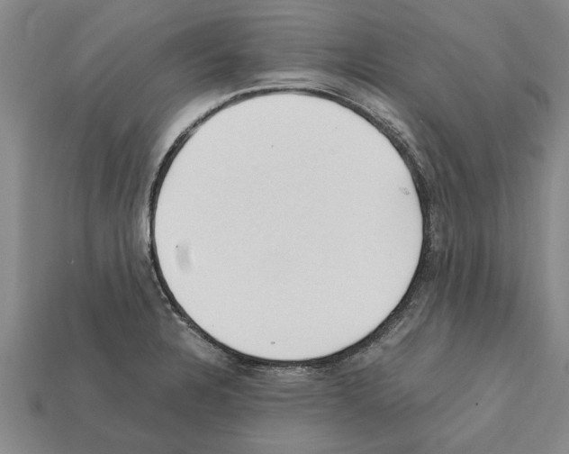 X0000111951328200909071312