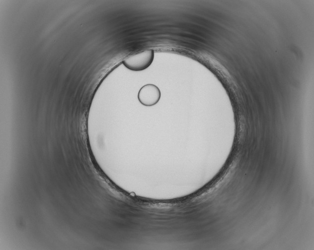 X0000111951329200909071312