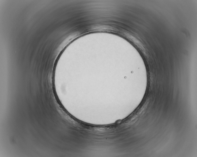 X0000111951330200909071312