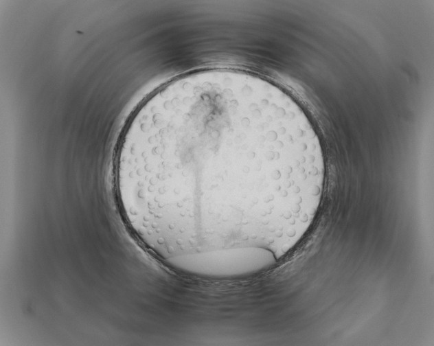 X0000111951331200909071312