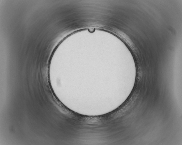 X0000111951332200909071312