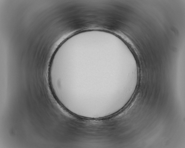 X0000111951333200909071312