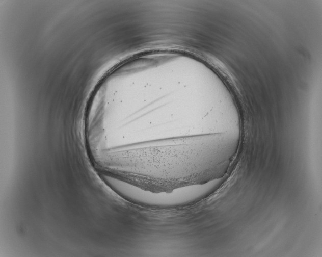 X0000111951334200909071312