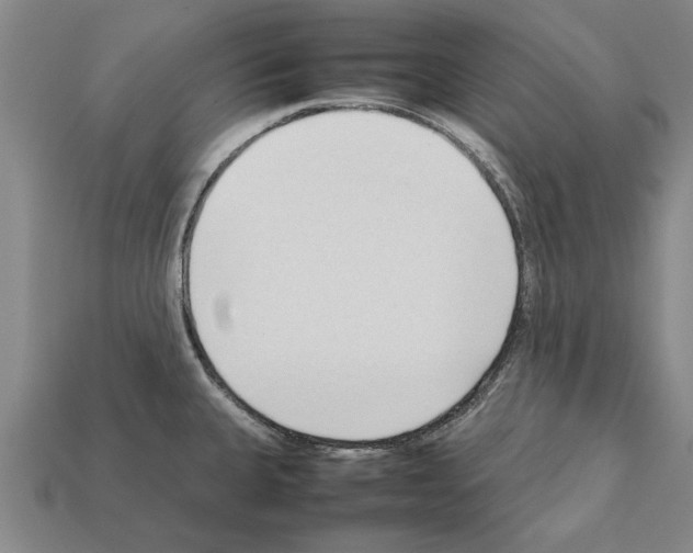 X0000111951335200909071312