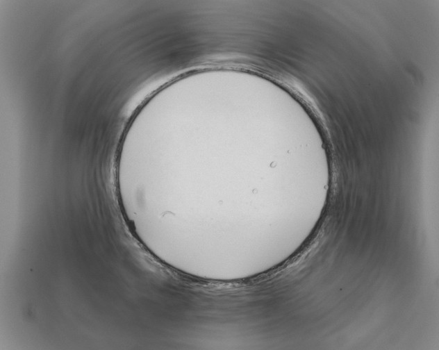 X0000111951336200909071312