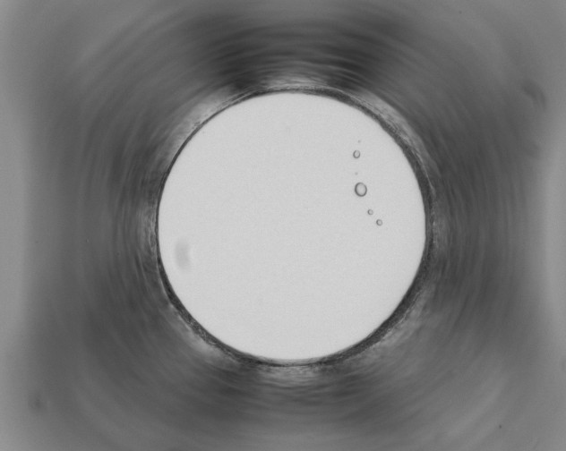 X0000111951337200909071312