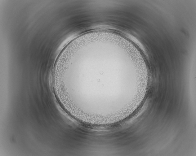 X0000111951338200909071312