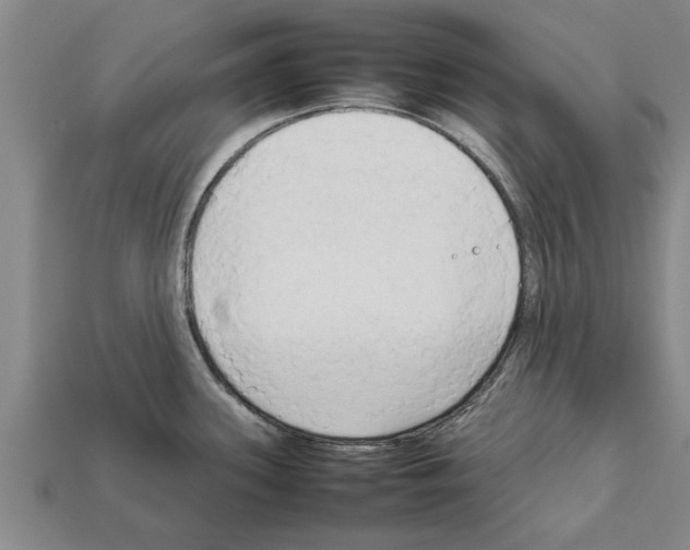 X0000111951339200909071312