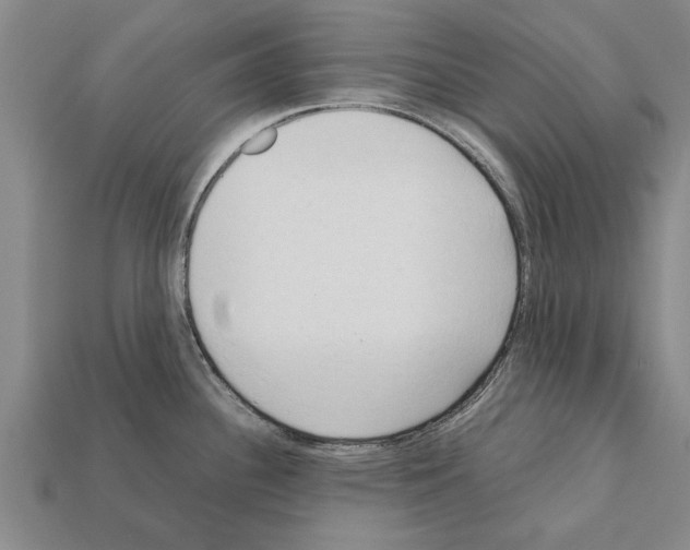 X0000111951340200909071312