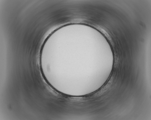X0000111951342200909071312