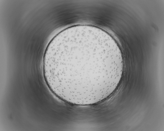 X0000111951343200909071312