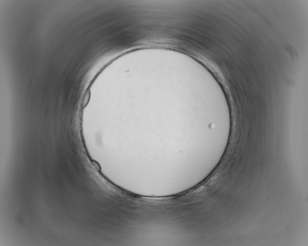 X0000111951344200909071312