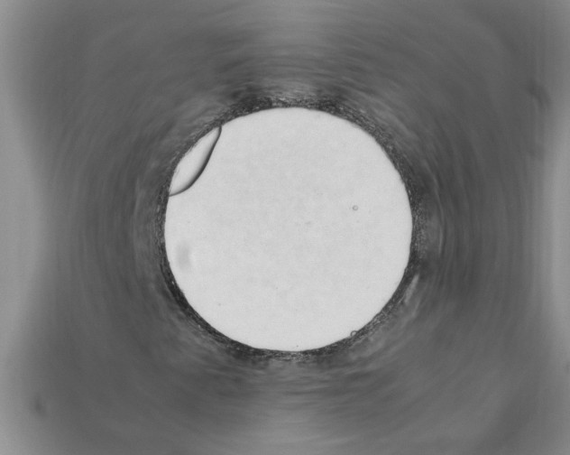 X0000111951345200909071312