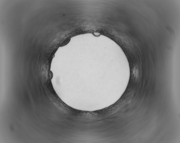 X0000111951348200909071312