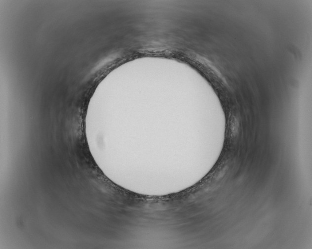X0000111951350200909071312