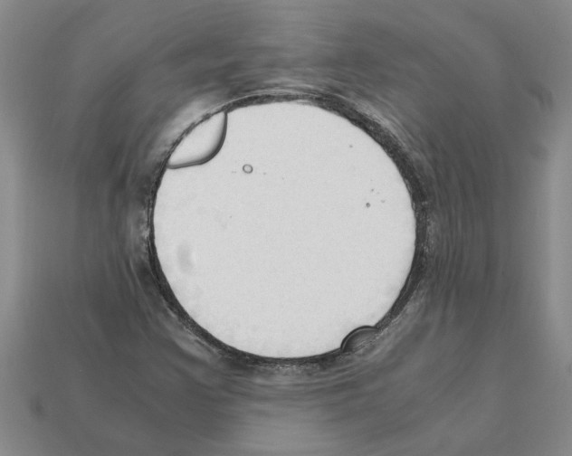 X0000111951355200909071311