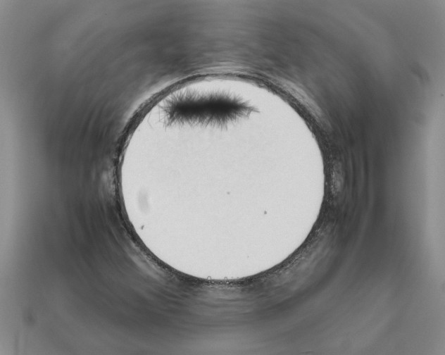 X0000111951356200909071311
