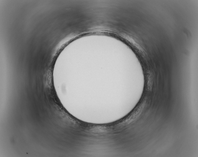 X0000111951358200909071311