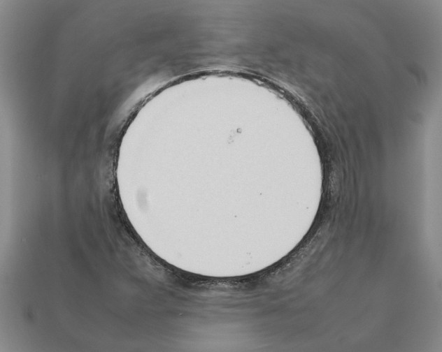 X0000111951359200909071311