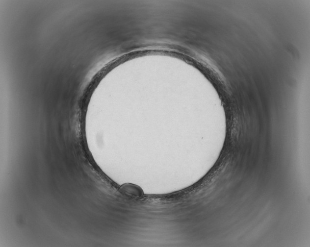 X0000111951360200909071311