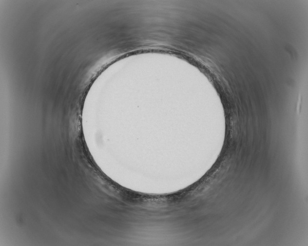 X0000111951363200909071311