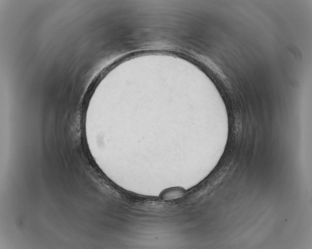 X0000111951364200909071311