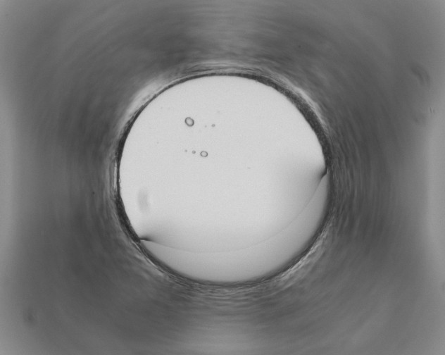 X0000111951365200909071311