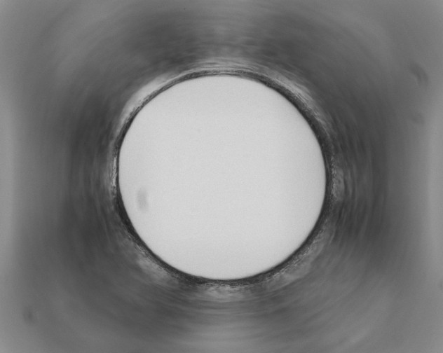 X0000111951366200909071311