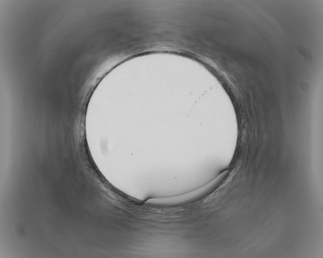 X0000111951367200909071311