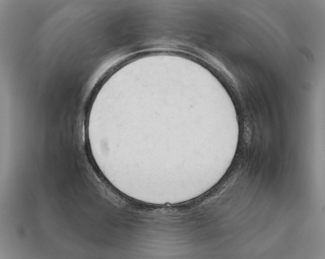 X0000111951368200909071311