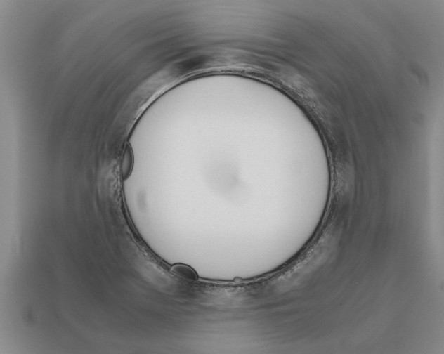 X0000111951369200909071311